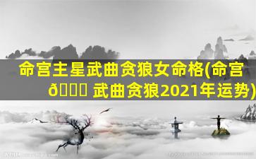 命宫主星武曲贪狼女命格(命宫 🐋 武曲贪狼2021年运势)